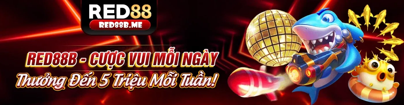 abc8 luôn đồng hành cùng người chơi